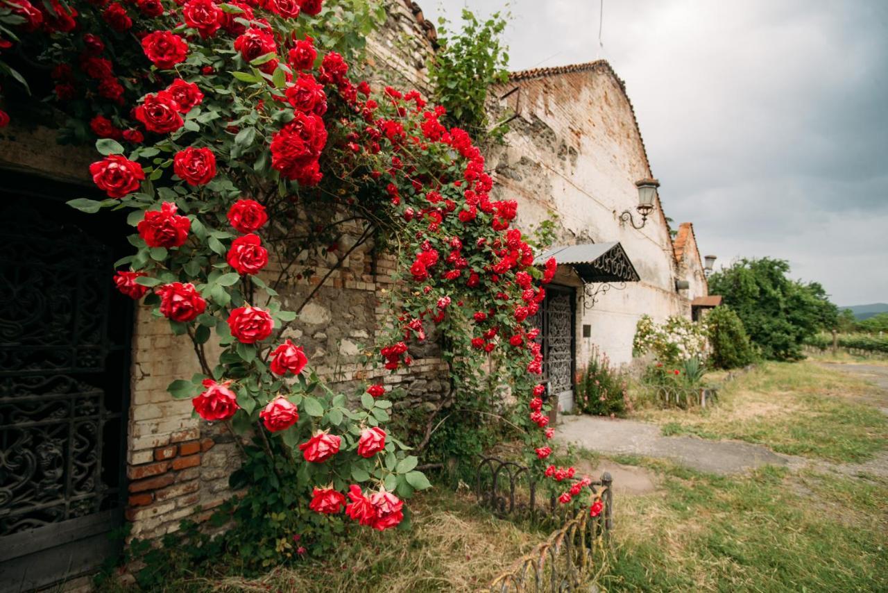 Chateau Eniseli Exterior foto